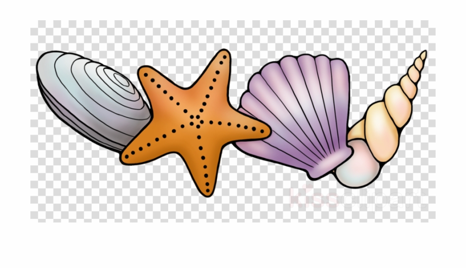 Download Seashell Long Border Transparent Clipart Starfish