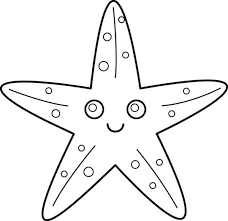 Starfish clipart google.