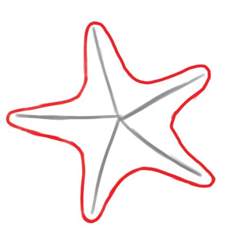 Draw a Starfish