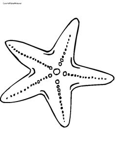 Free drawn starfish.