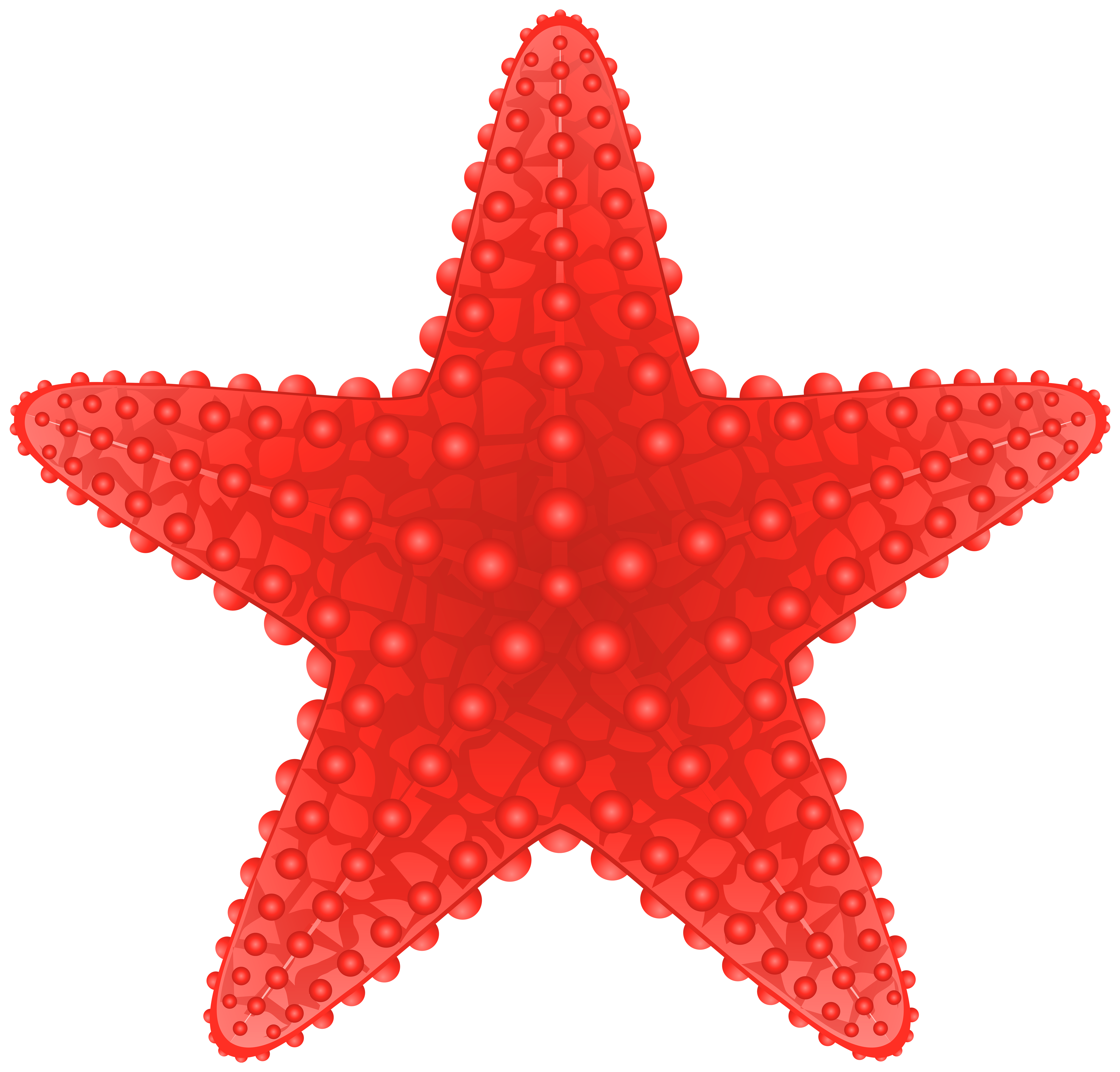 Clipart summer starfish.