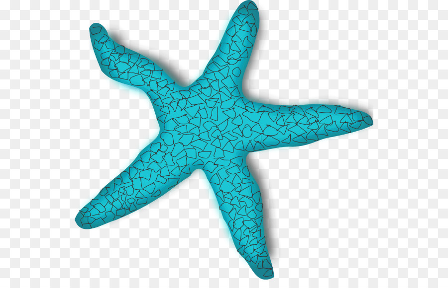 Download Free png Starfish Clip art Teal Fish Cliparts png