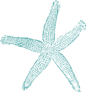 Maehr Teal Starfish Clip Art at Clker