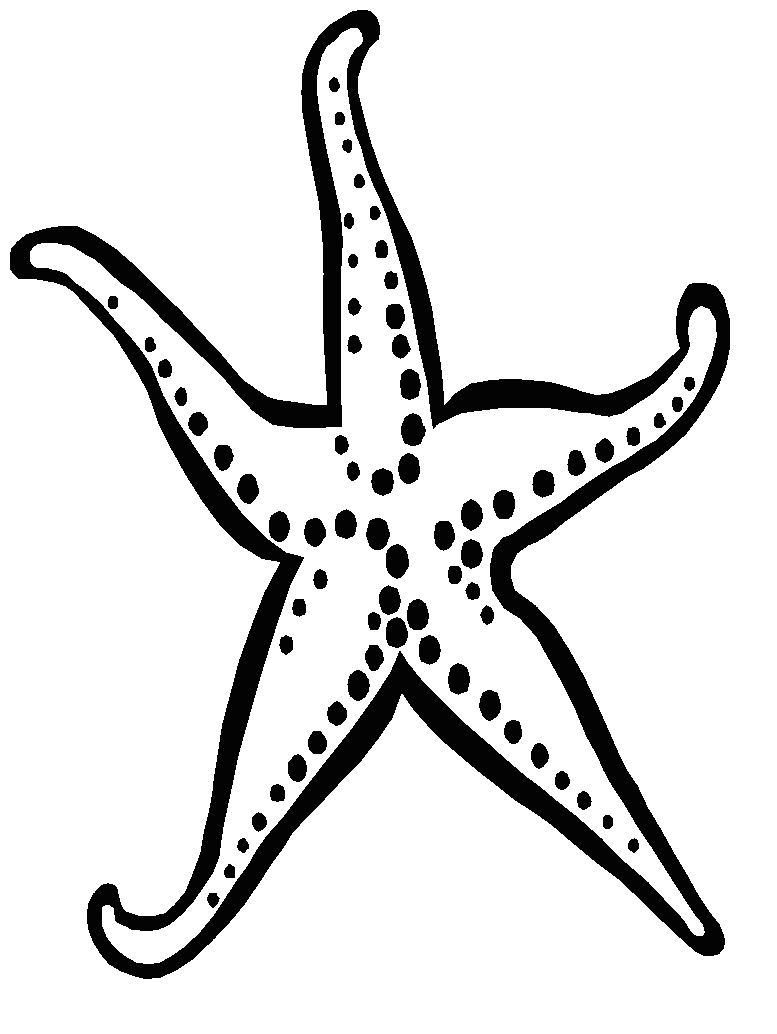Fish black and white starfish clipart black and white free