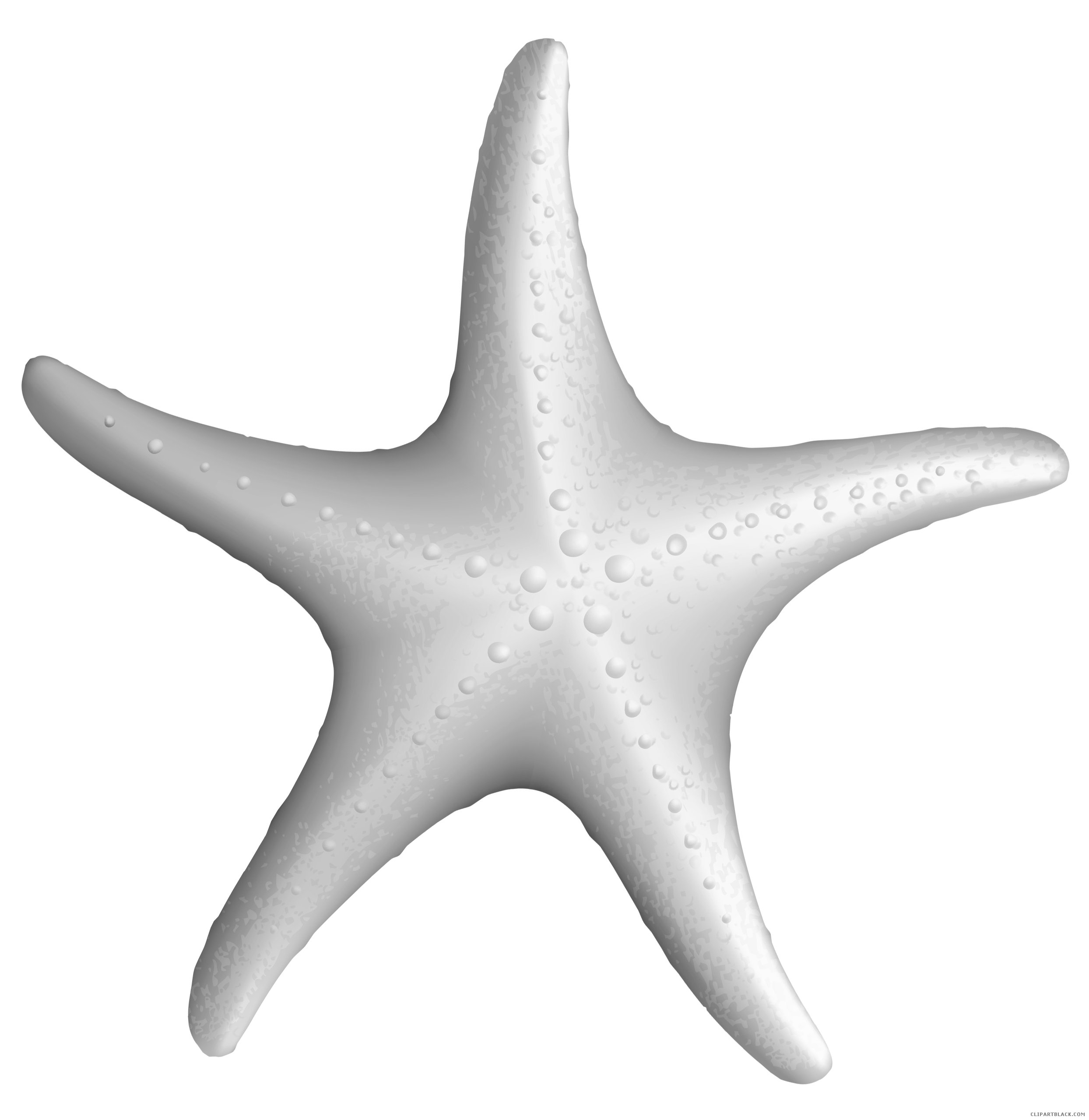 Starfish clipart black.