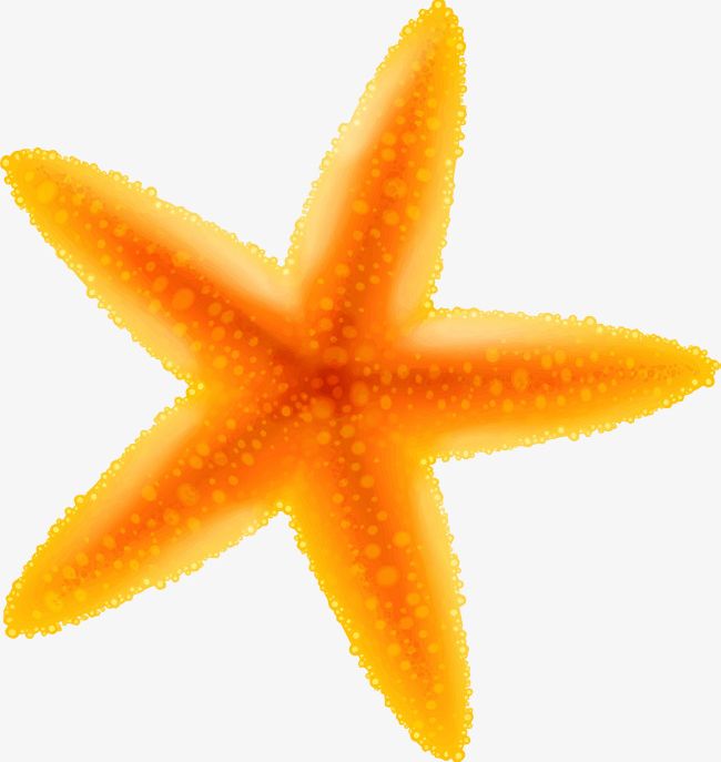 Yellow cartoon starfish.