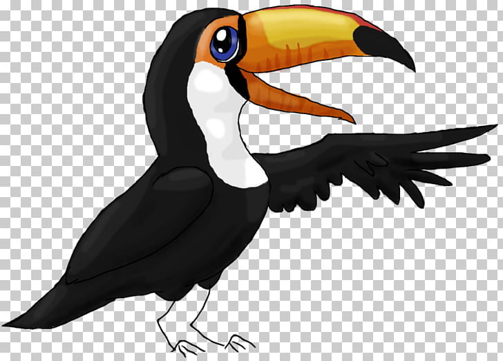 Stitch Toucan Bird , Toucan Outline PNG clipart