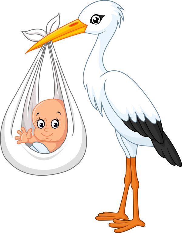 Storch clipart