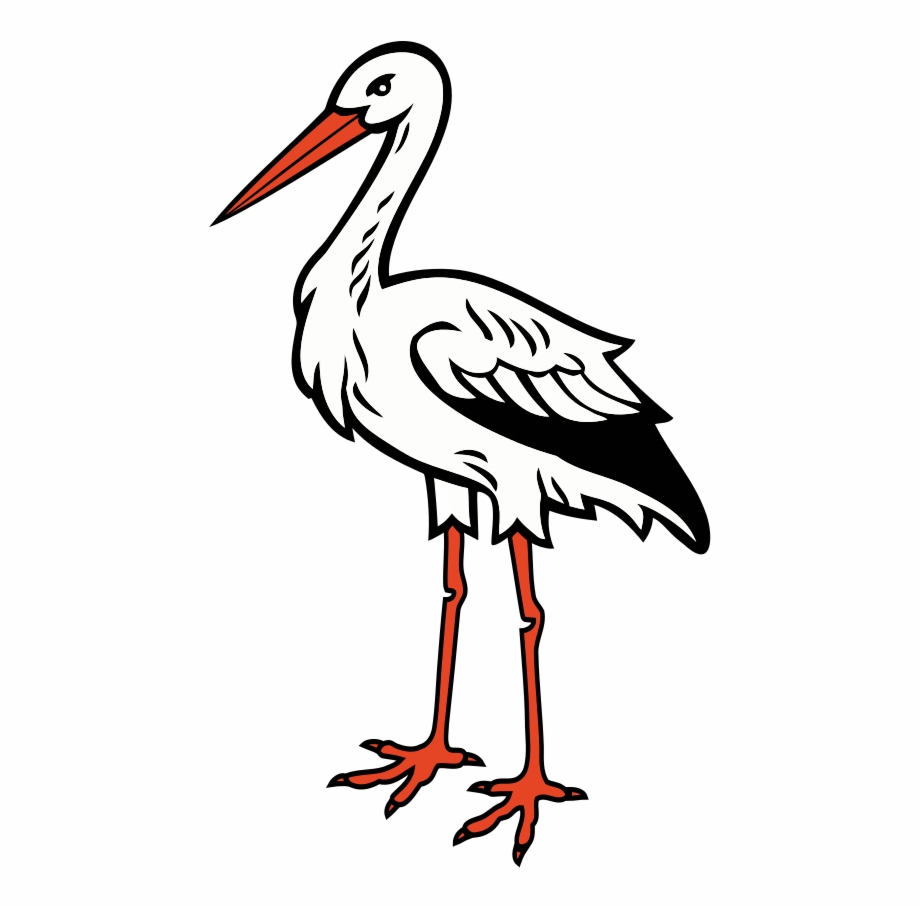 Ciconia stork storch.