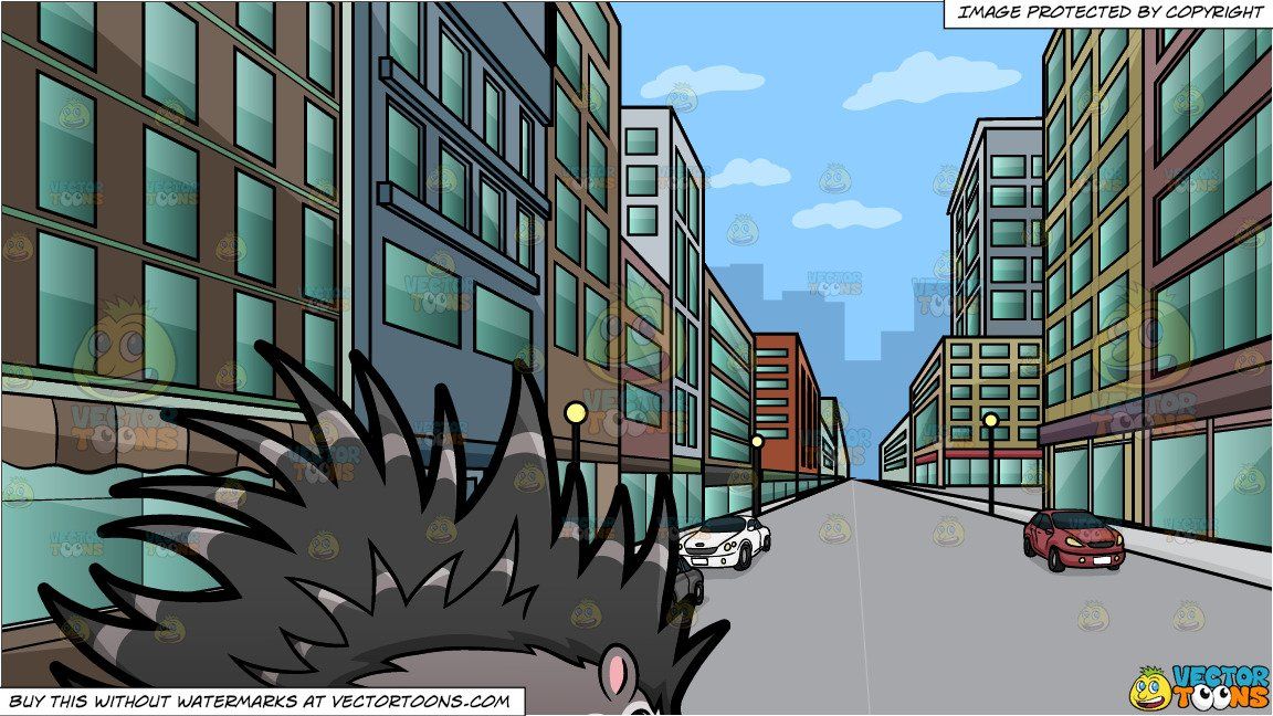 Porcupine and city.