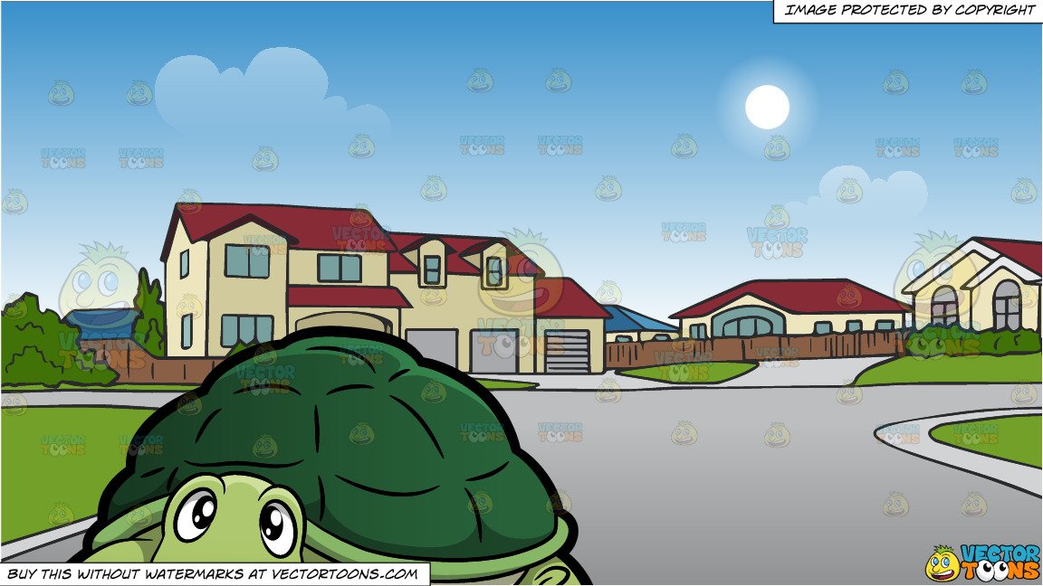 A Tortoise and A Suburban Street Background