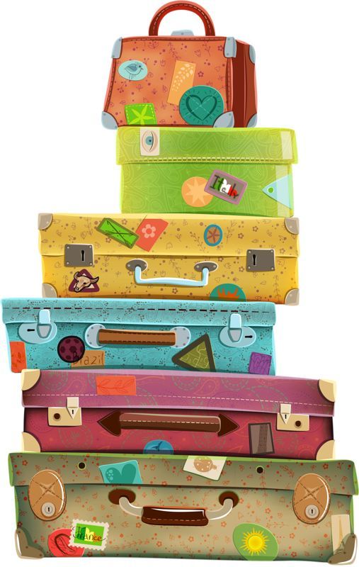 Travel suitcase clip.