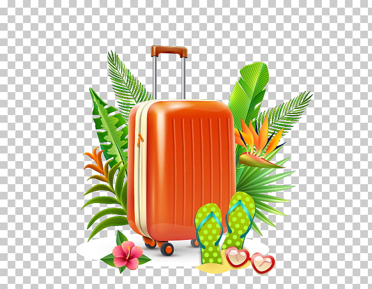 Summer vacation Holiday , Suitcase PNG clipart