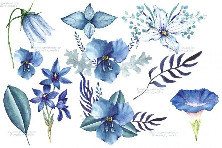 Botanical blue flowers Clipart Wedding flower paint Spring
