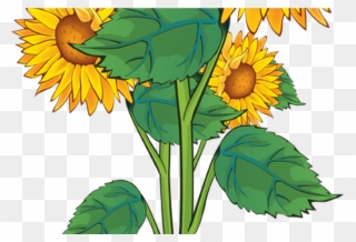 Free PNG Garden Flowers Clip Art Download , Page