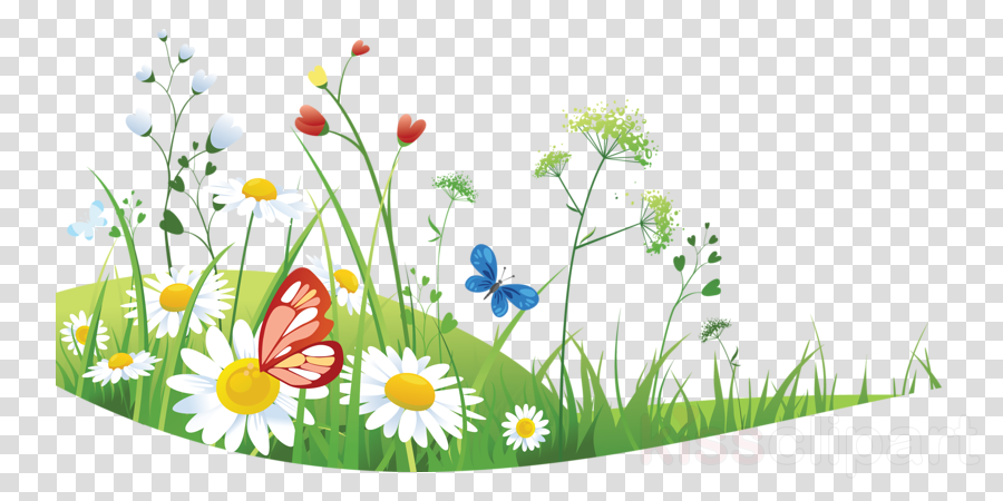 Summer Flower Background clipart
