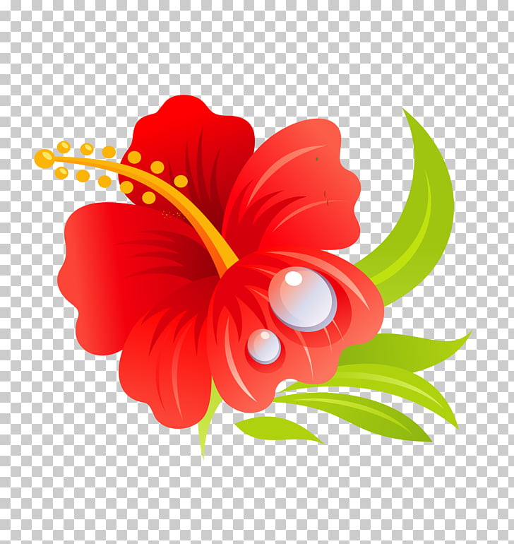 Hawaiian hibiscus hawaiian.