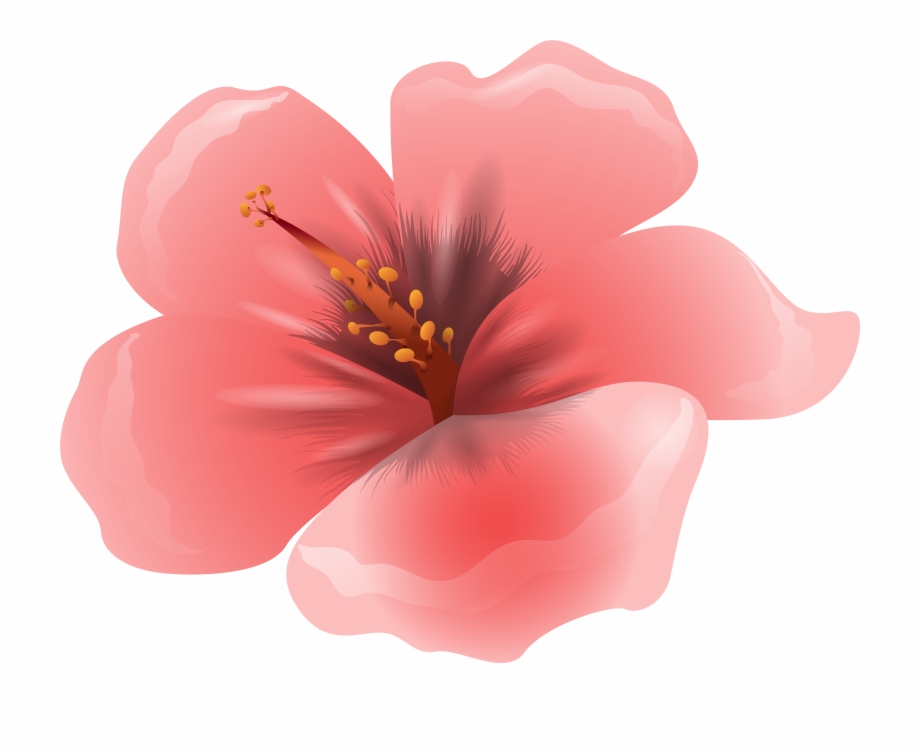 Summer flowers png.