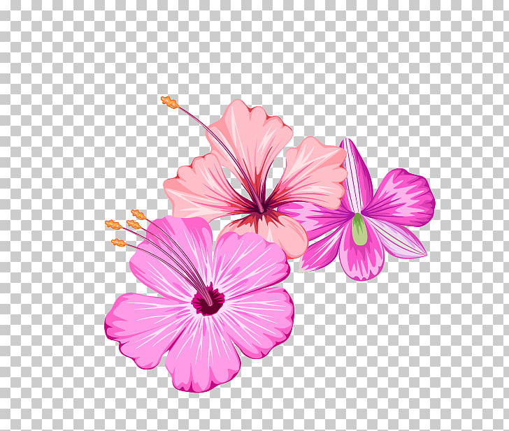 Flower, Small fresh summer flowers, pink hibiscus flowers
