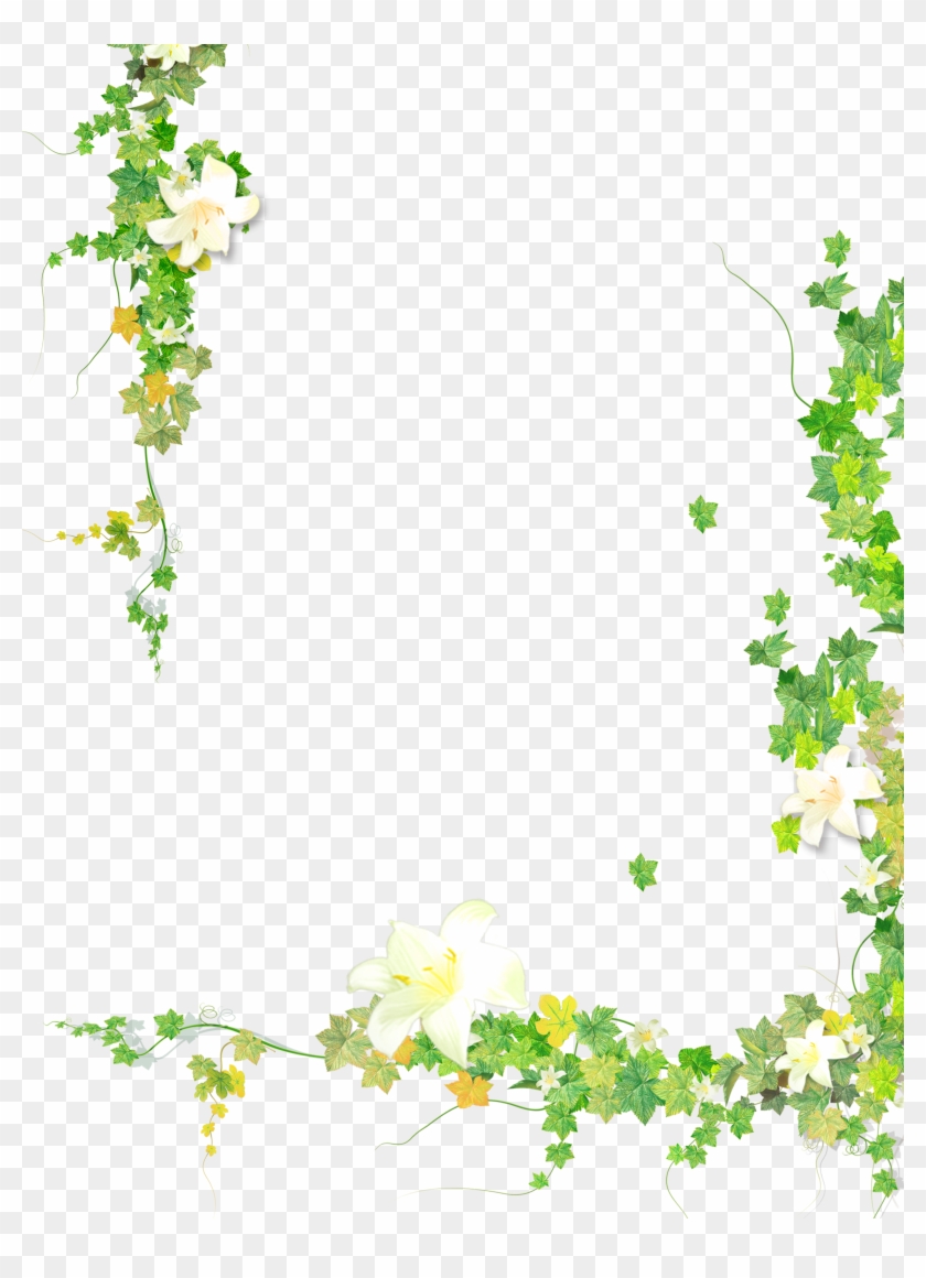 summer flowers clipart transparent background