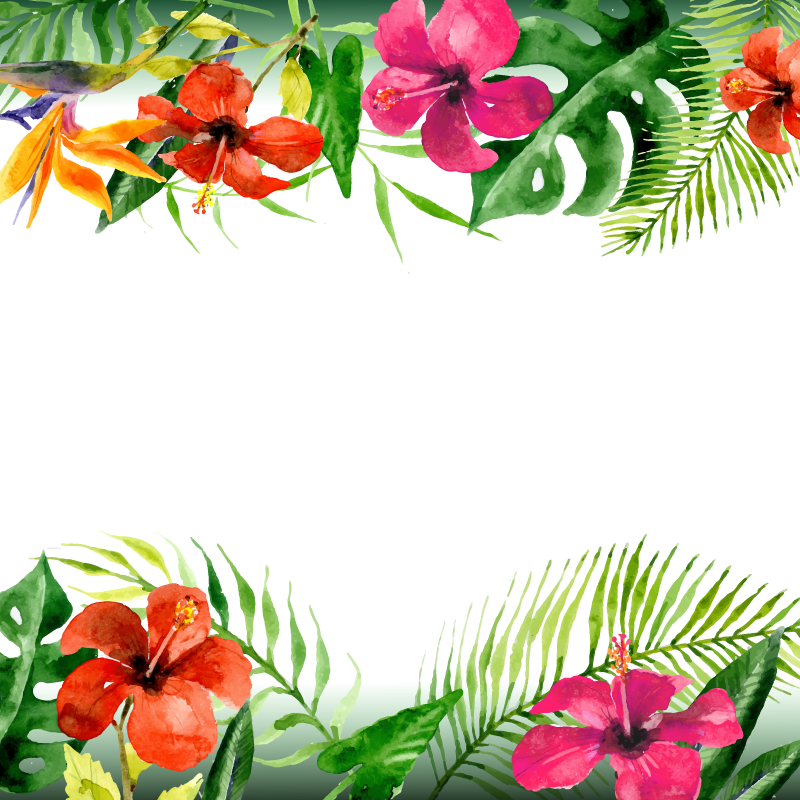Download Summer Flower Leaf Arecaceae Vector Flowers Clipart