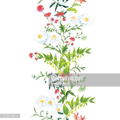 Summer meadow floral seamless vertical vector band Clipart