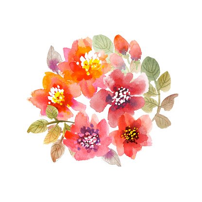 Watercolor flowers illustration.