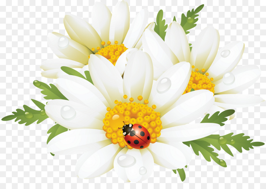 Flowers Clipart Background clipart