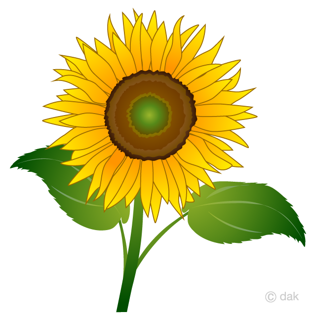 Free One Sunflower Clipart Image