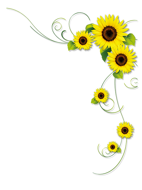 Sunflower frame flower.