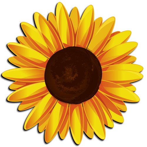 Free cartoon sunflower.