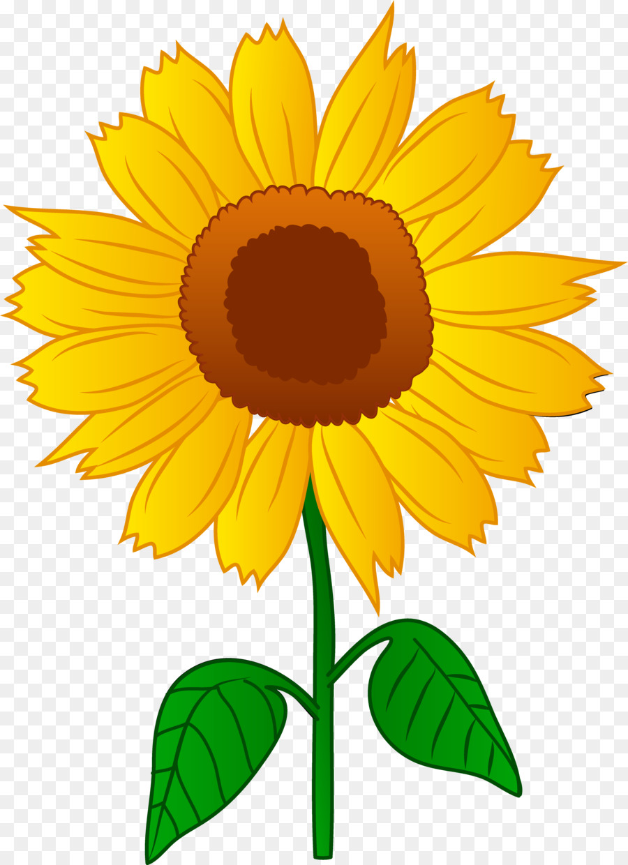 Free Sunflower Clipart Transparent Background, Download Free