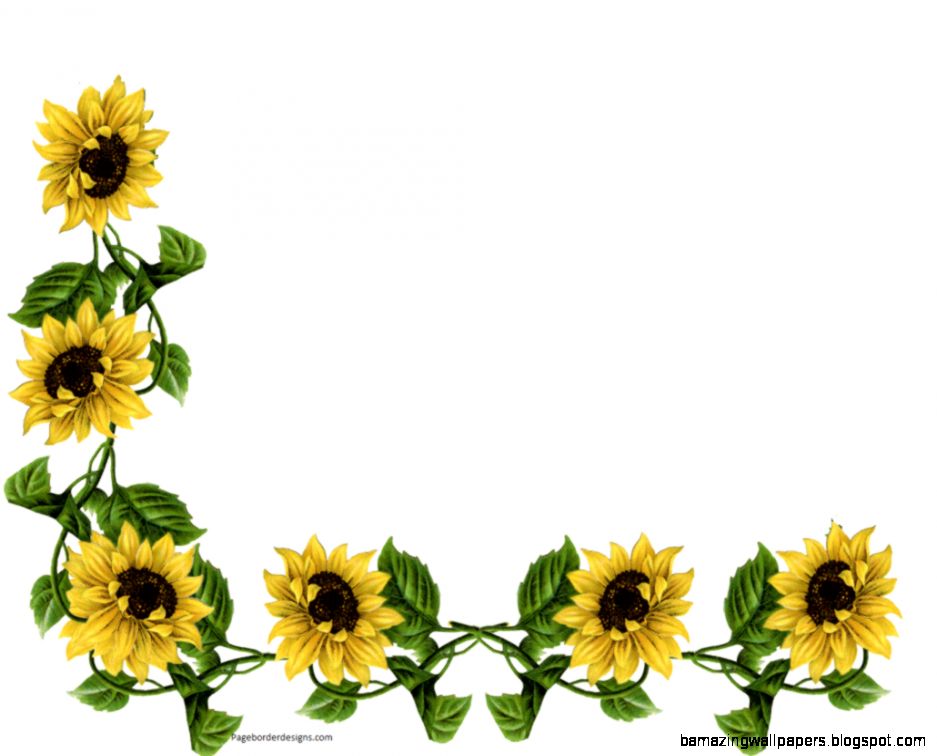 Sunflower border free.