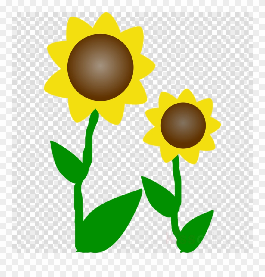 Sunflower clipart easy pictures on Cliparts Pub 2020!