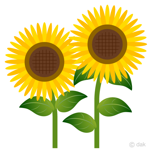 Free Two Simple Sunflower Clipart Image