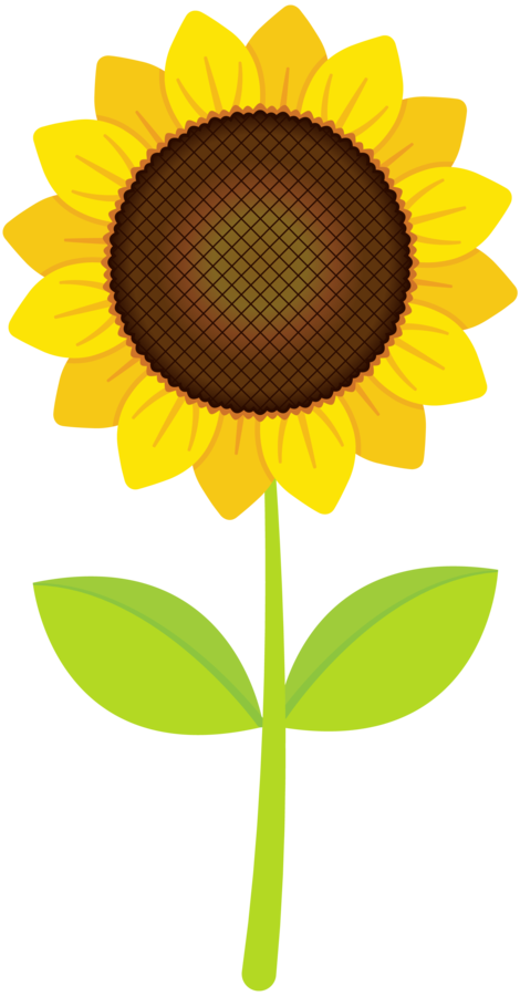 Clipart flower sunflower.