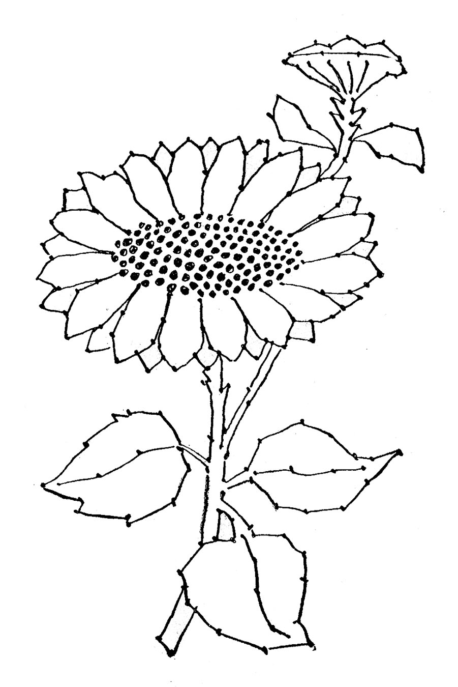 Free Black Sunflower Cliparts, Download Free Clip Art, Free