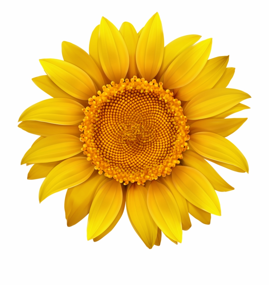 Sunflower clipart printable.