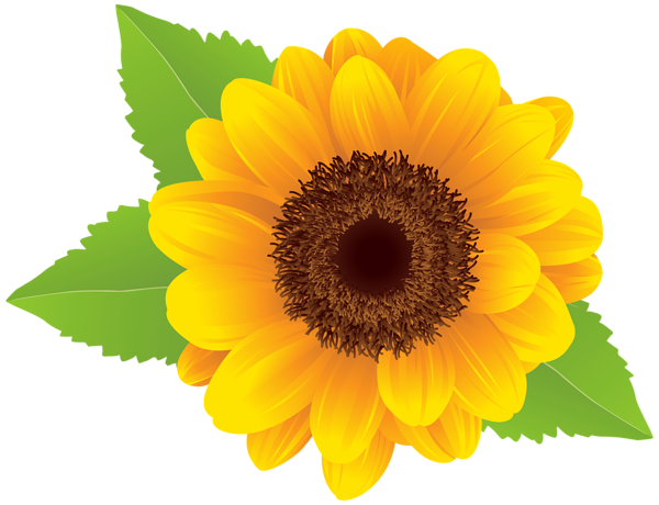 Sunflower free sunflower clip art free printable clipart