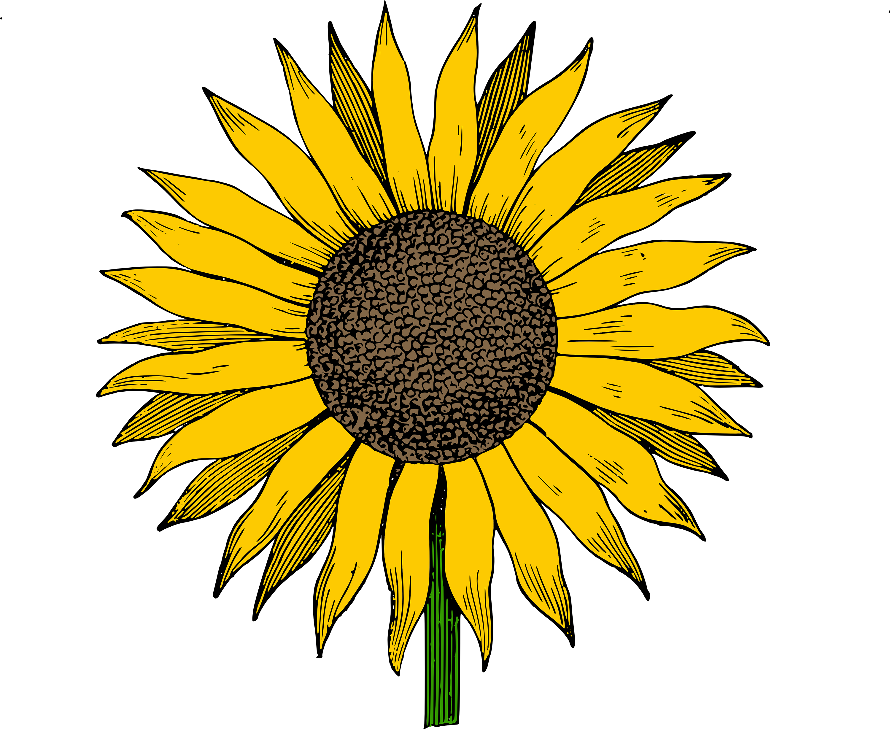 Free printable sunflower.