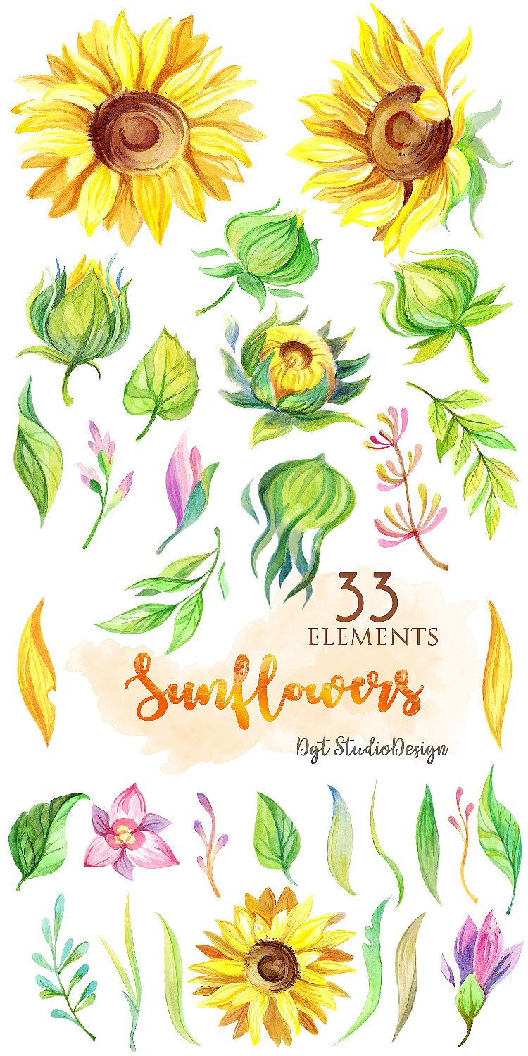 Watercolor sunflowers clipart.