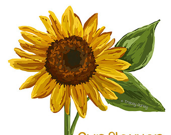 Free Vintage Sunflower Cliparts, Download Free Clip Art
