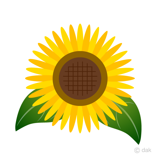 Free Sunflower Flower and Leaves Clipart Image