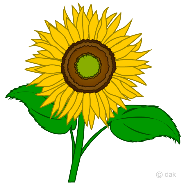 Free Simple Sunflower Clipart Image