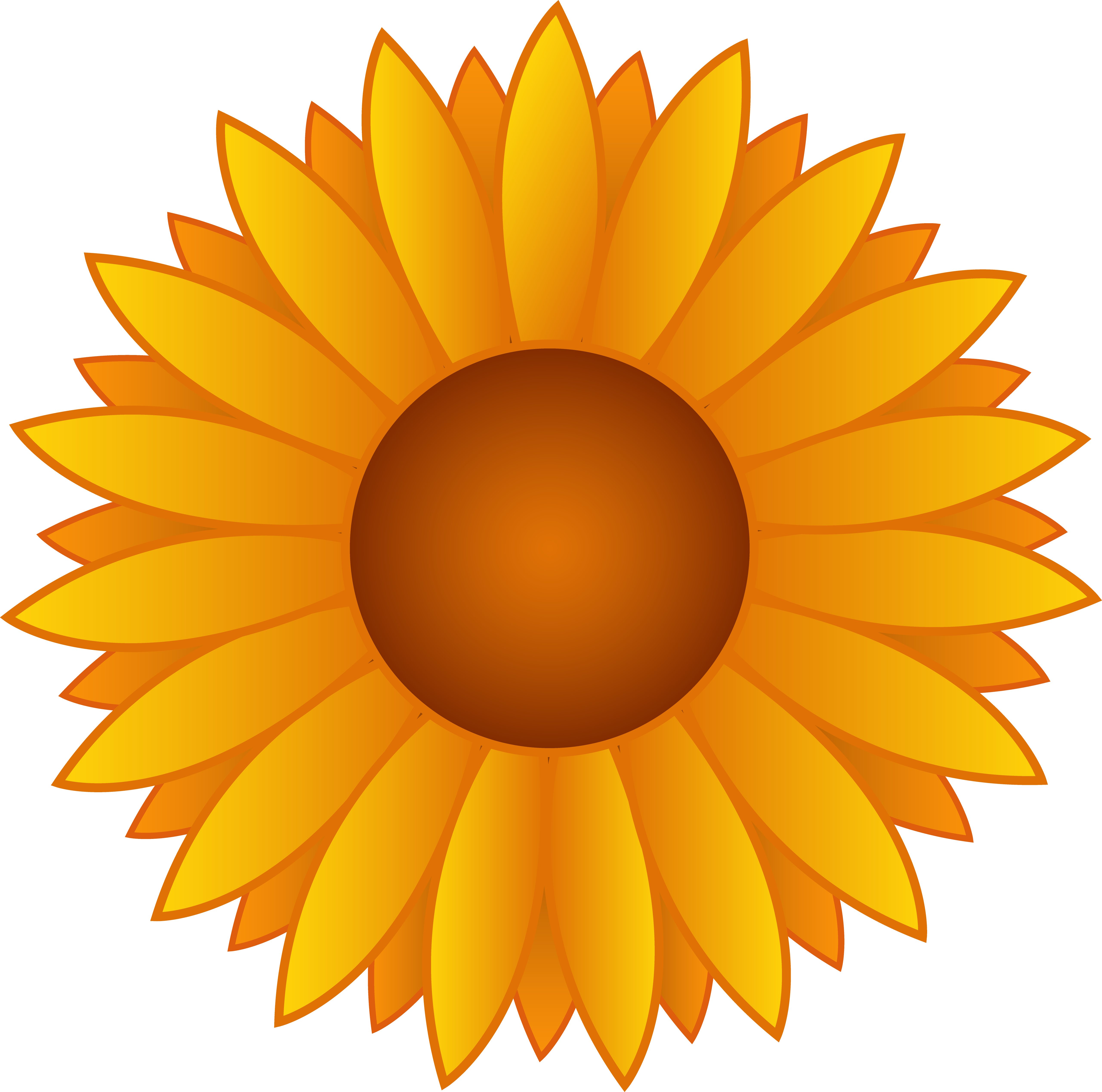 Yellow sunflower vector.