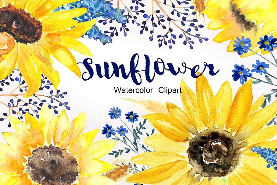 Sunflower watercolor clip.