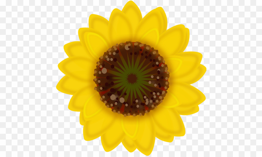 Yellow Small Flower PNG Transparent Common Sunflower Clipart