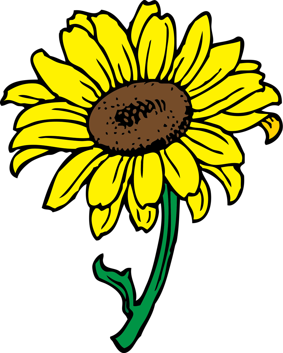 Sunflower clipart free.