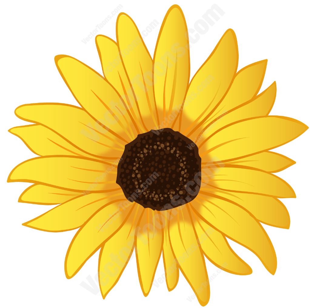 Sun Flower Clipart