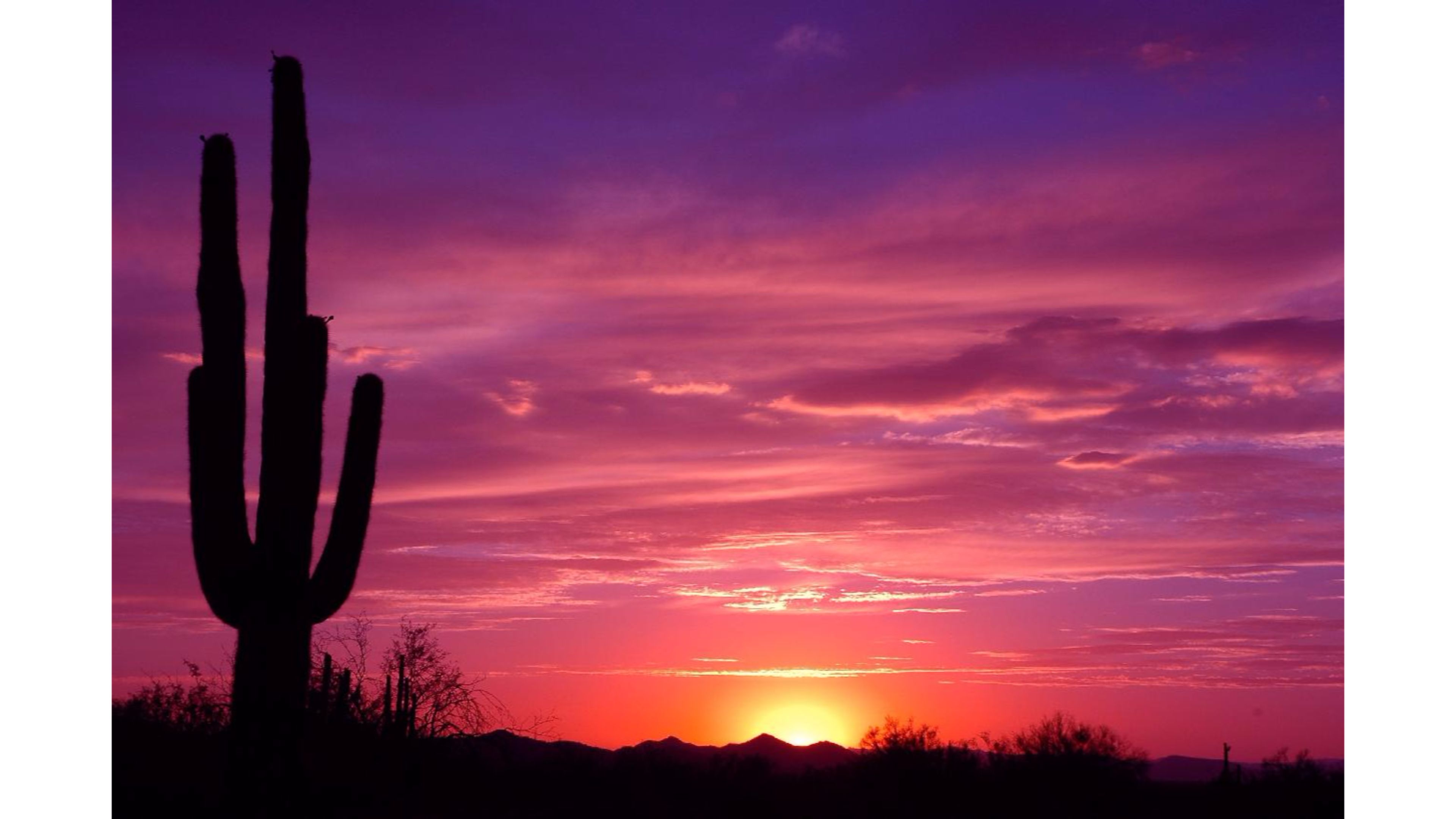 Sunset clipart desert sunset, Sunset desert sunset
